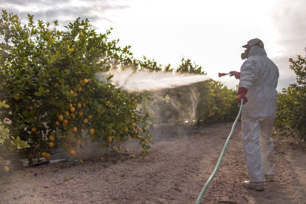  Ridgecrest, FL Pest Control Pros