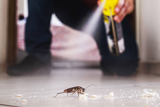 Best Local Pest Control Services  in Ridgecrest, FL
