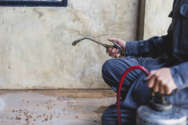 Best Pest Removal Services  in Ridgecrest, FL